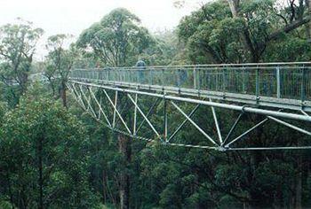 Tree Top Walk Motel ウォルポール エクステリア 写真